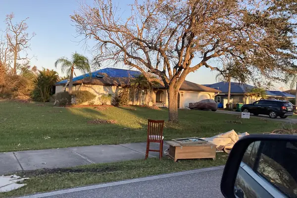 Blue-tarped roofs after a hurricane