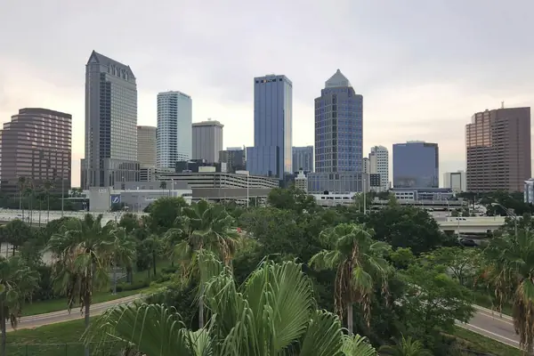 Skyline above palm trees